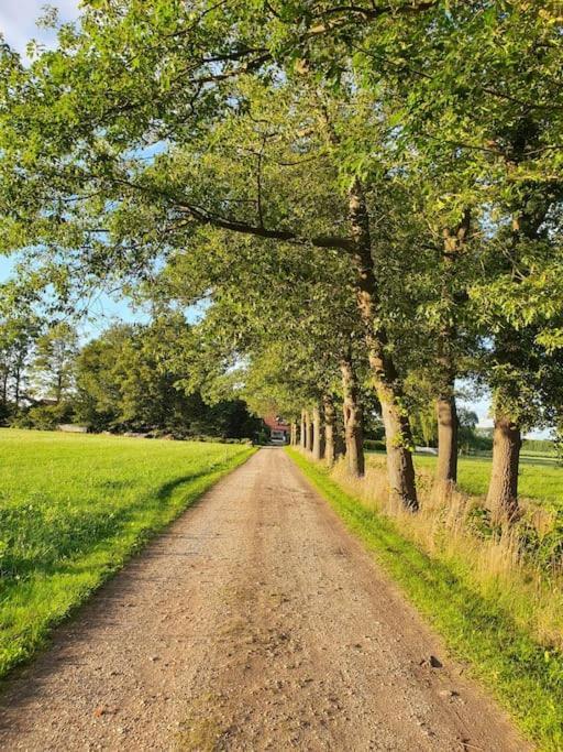 Leuk Boerderijtje Op Prachtige Plek, Nabij Natuurgebied Ruurlo Exteriér fotografie